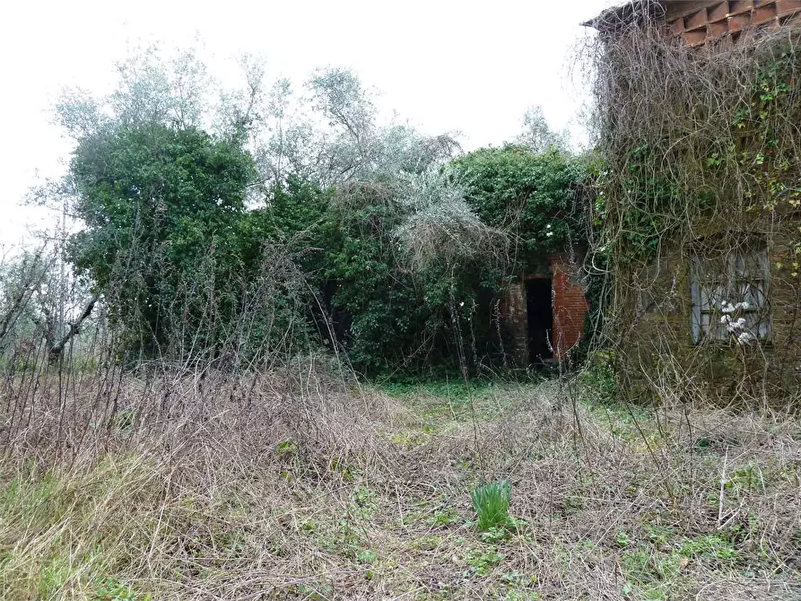 Immagine 7 di Casa indipendente in vendita  in Segromigno in monte  a Capannori