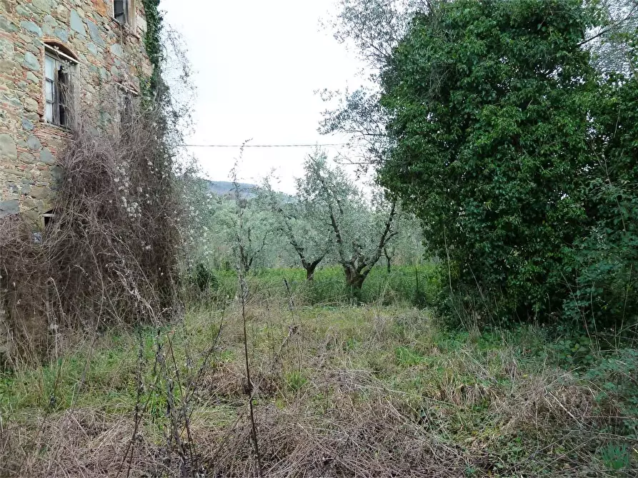 Immagine 8 di Casa indipendente in vendita  in Segromigno in monte  a Capannori