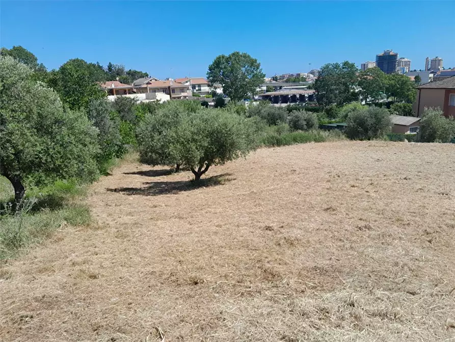 Immagine 1 di Terreno agricolo in vendita  in strada del palazzo a Pescara