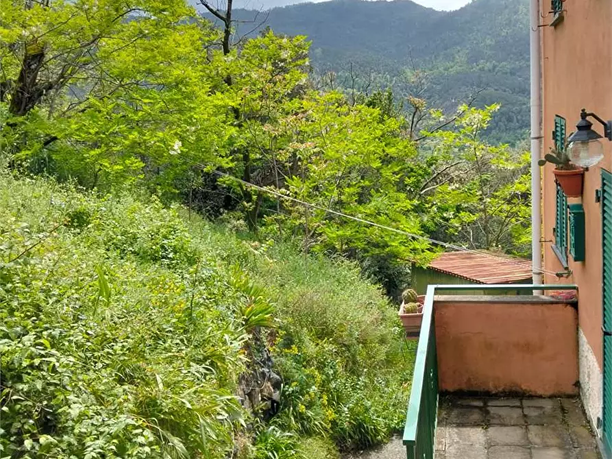 Immagine 27 di Casa indipendente in vendita  a Deiva Marina