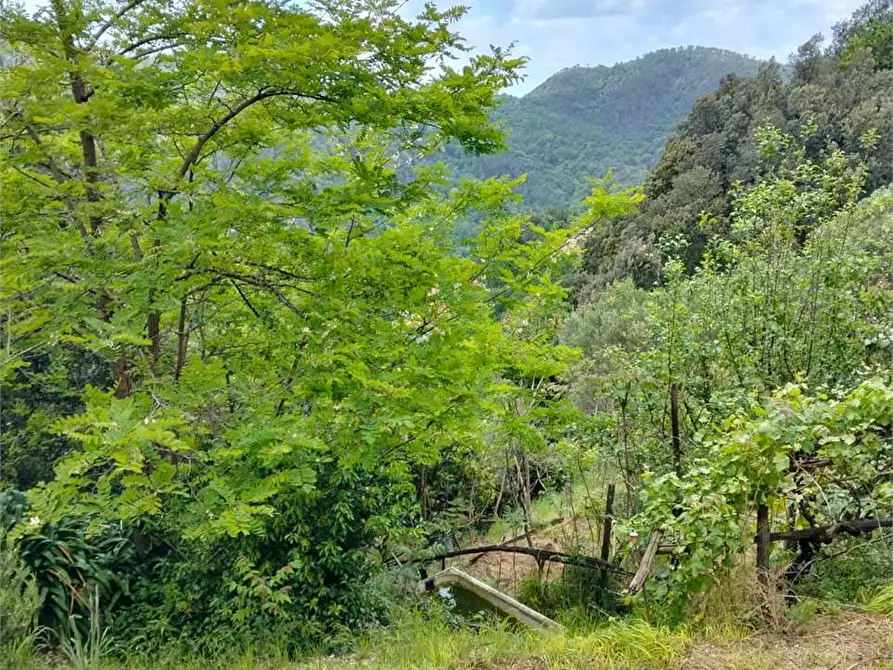 Immagine 29 di Casa indipendente in vendita  a Deiva Marina