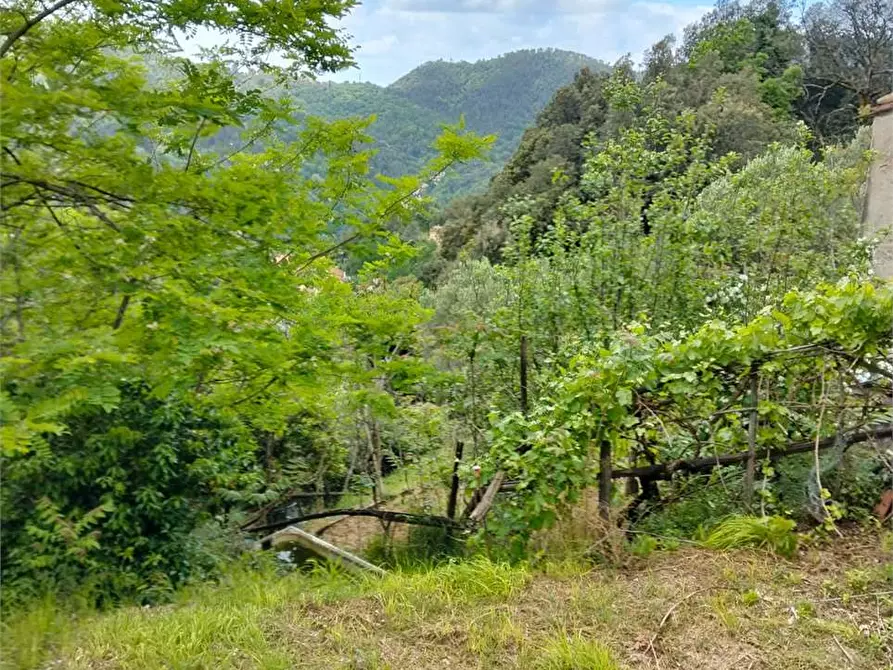 Immagine 30 di Casa indipendente in vendita  a Deiva Marina
