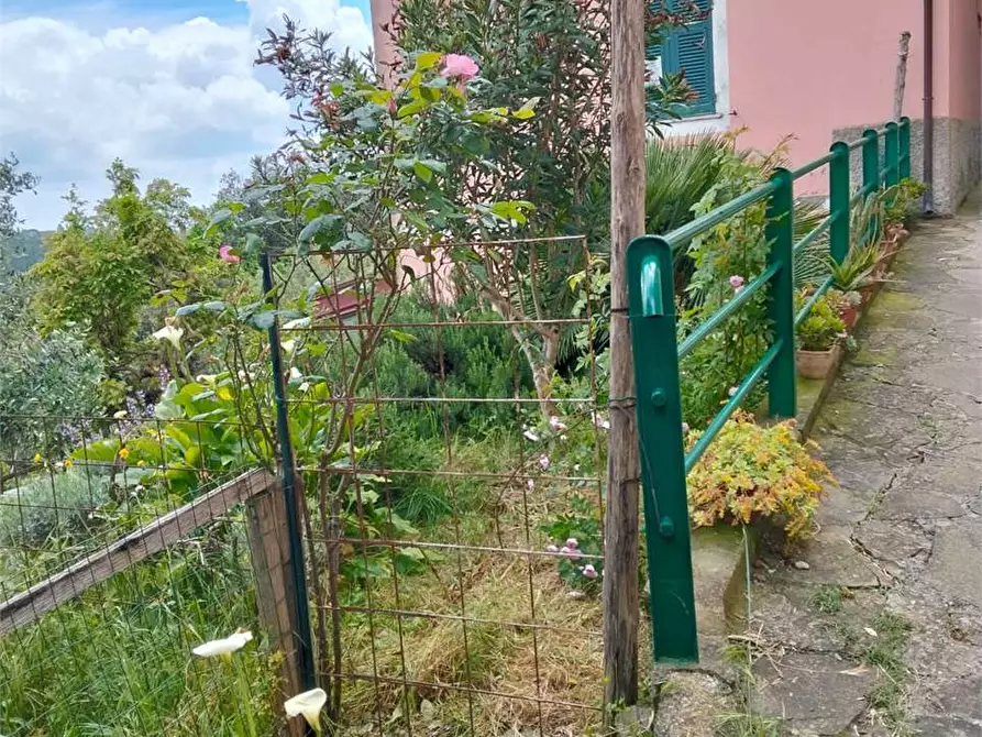 Immagine 39 di Casa indipendente in vendita  a Deiva Marina