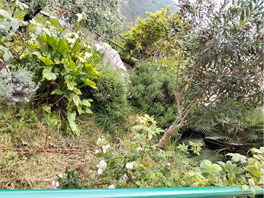 Immagine 40 di Casa indipendente in vendita  a Deiva Marina