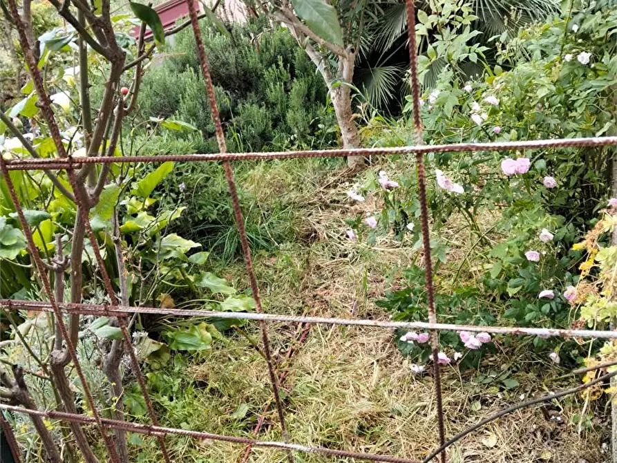 Immagine 41 di Casa indipendente in vendita  a Deiva Marina