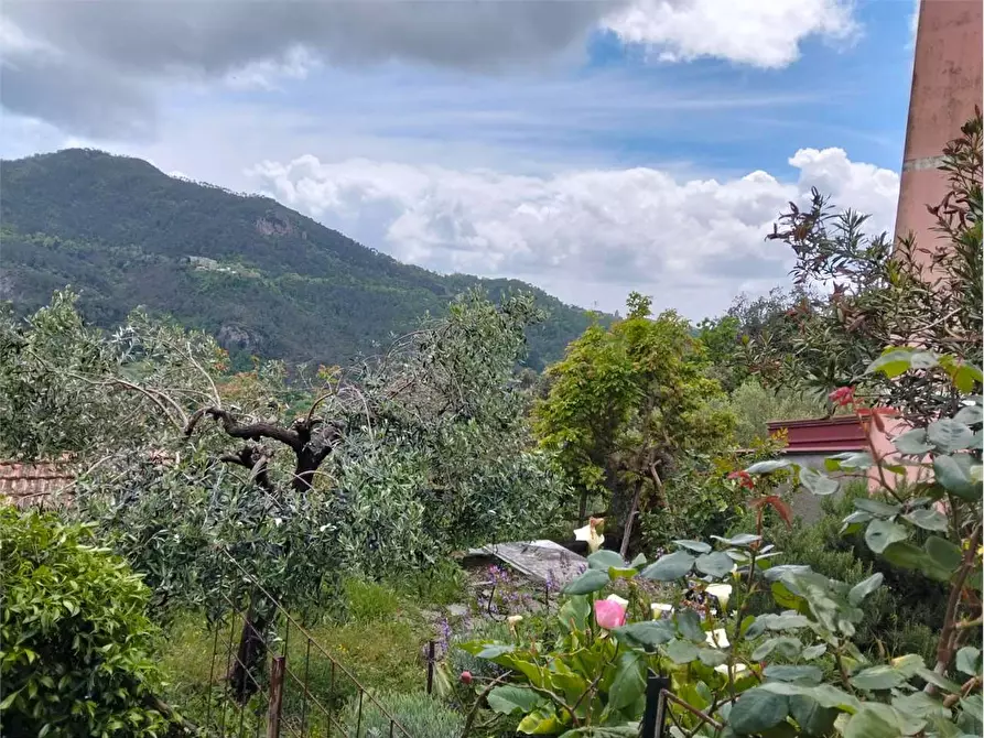 Immagine 43 di Casa indipendente in vendita  a Deiva Marina