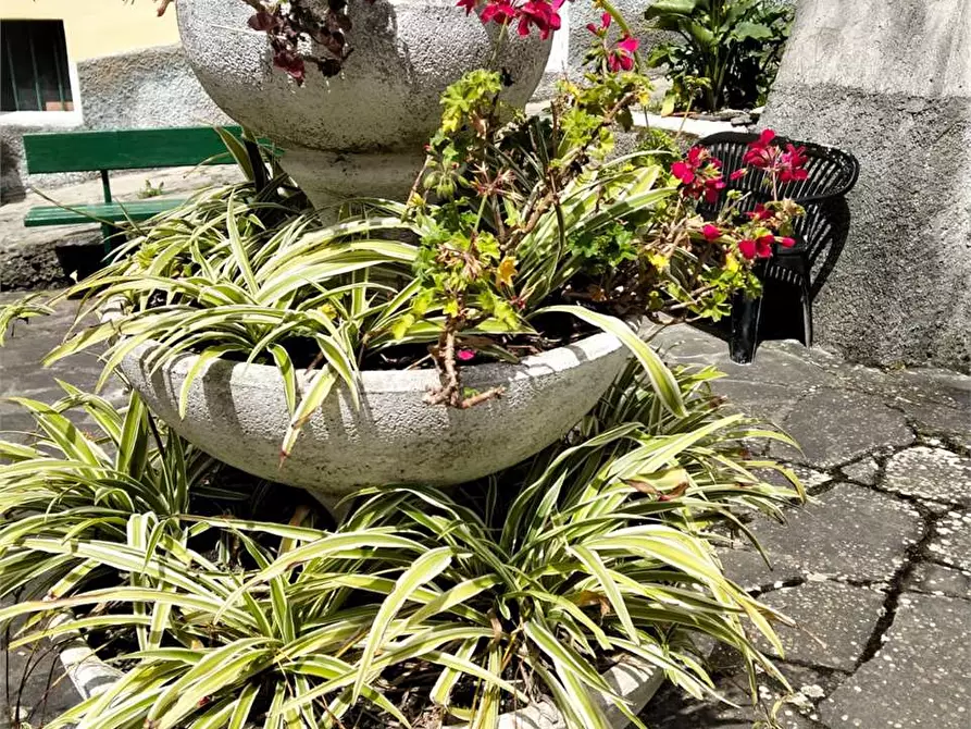 Immagine 47 di Casa indipendente in vendita  a Deiva Marina