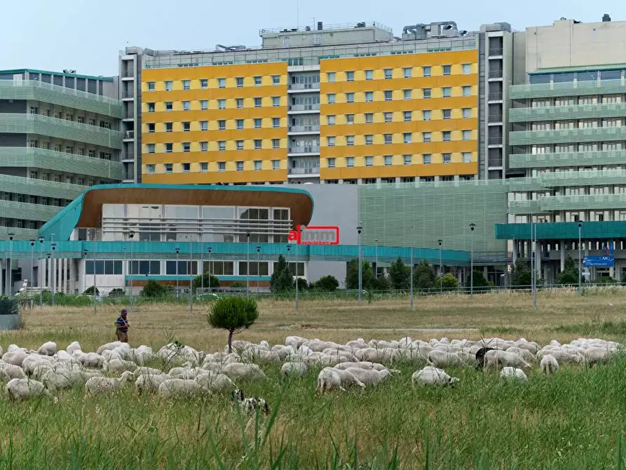 Immagine 13 di Appartamento in affitto  in Viale Europa  a Catanzaro