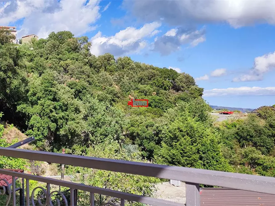 Immagine 15 di Appartamento in vendita  in via delle serre 13 a Catanzaro