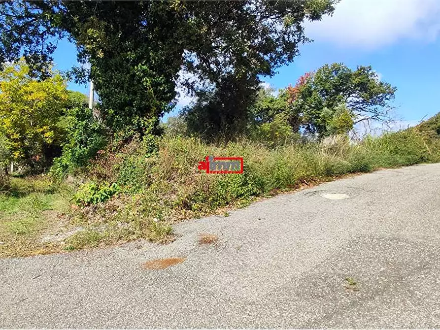 Immagine 3 di Terreno edificabile in vendita  in Via Lenza a Catanzaro