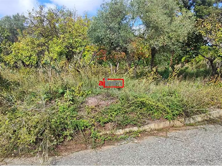 Immagine 4 di Terreno edificabile in vendita  in Via Lenza a Catanzaro
