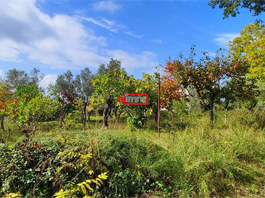 Immagine 6 di Terreno edificabile in vendita  in Via Lenza a Catanzaro