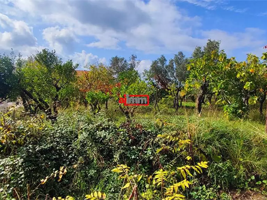 Immagine 7 di Terreno edificabile in vendita  in Via Lenza a Catanzaro