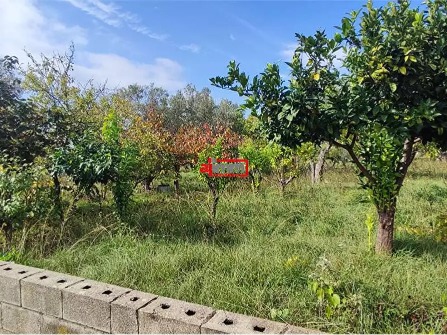 Immagine 8 di Terreno edificabile in vendita  in Via Lenza a Catanzaro
