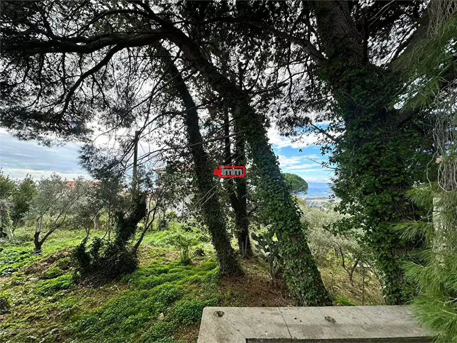 Immagine 16 di Terreno edificabile in vendita  in Via Lenza a Catanzaro