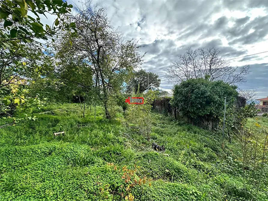Immagine 18 di Terreno edificabile in vendita  in Via Lenza a Catanzaro