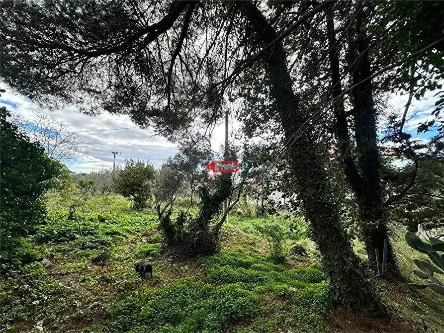 Immagine 19 di Terreno edificabile in vendita  in Via Lenza a Catanzaro