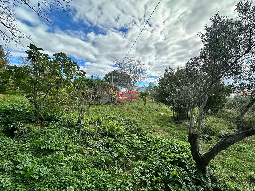 Immagine 21 di Terreno edificabile in vendita  in Via Lenza a Catanzaro