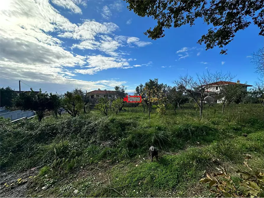 Immagine 23 di Terreno edificabile in vendita  in Via Lenza a Catanzaro