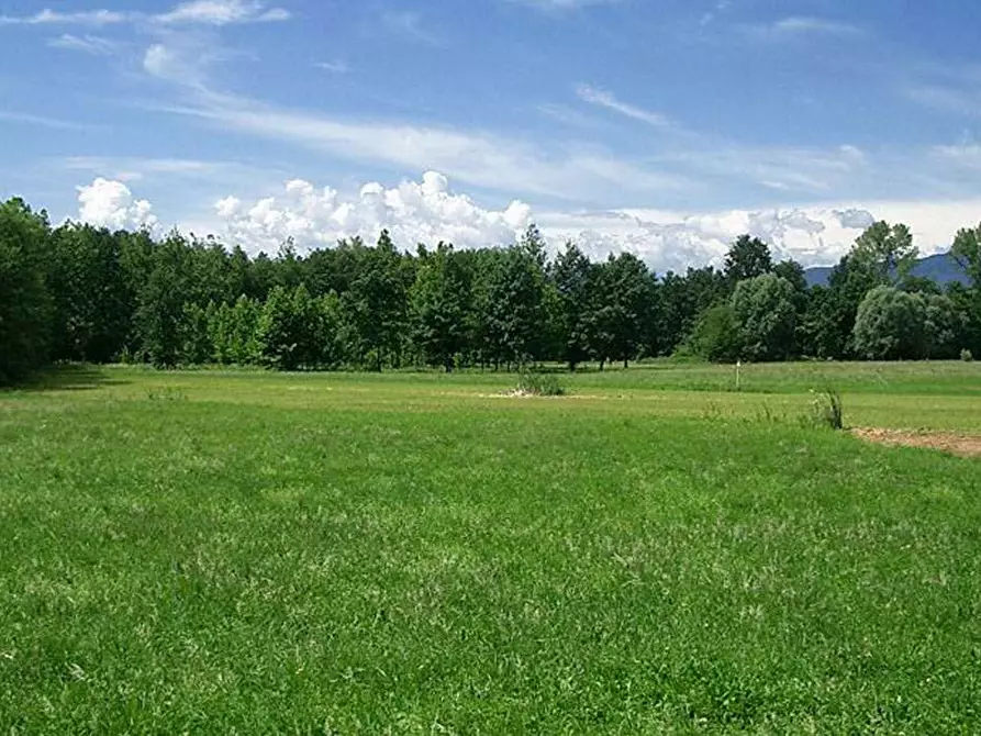 Immagine 1 di Terreno agricolo in vendita  in Sez. Voldomino, zona Via Copelli a Luino
