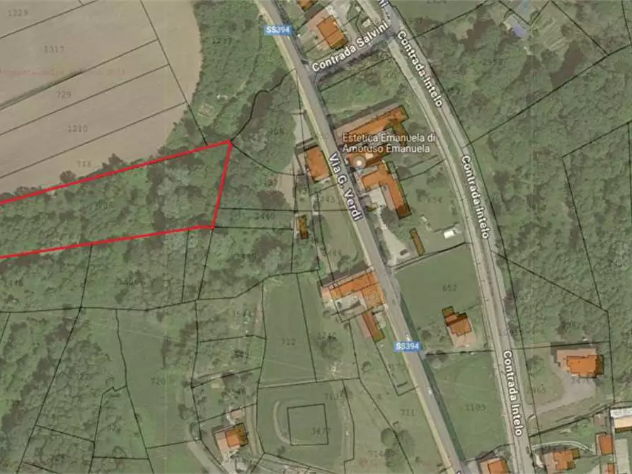 Immagine 1 di Terreno agricolo in vendita  in VIA GIUSEPPE VERDI  snc a Cocquio-Trevisago