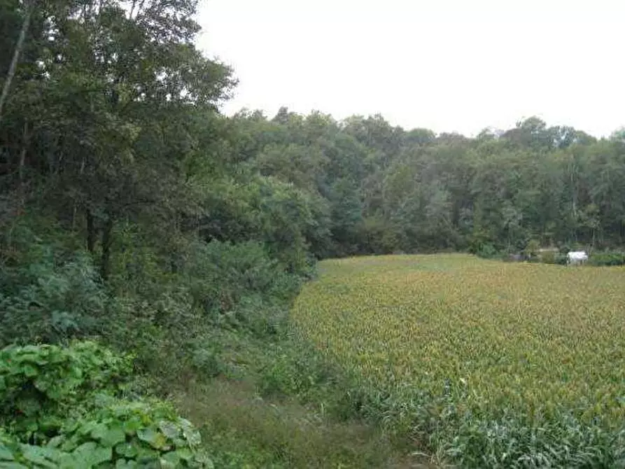 Immagine 1 di Terreno agricolo in vendita  in Via Elvezia snc a Cantello