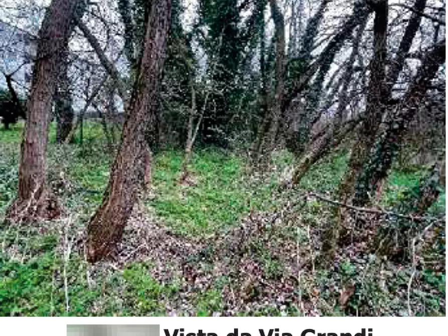 Immagine 4 di Terreno agricolo in vendita  in Via Verghera a Gallarate