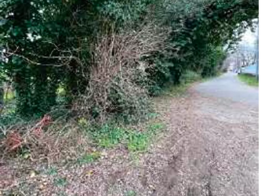 Immagine 5 di Terreno agricolo in vendita  in Via Verghera a Gallarate