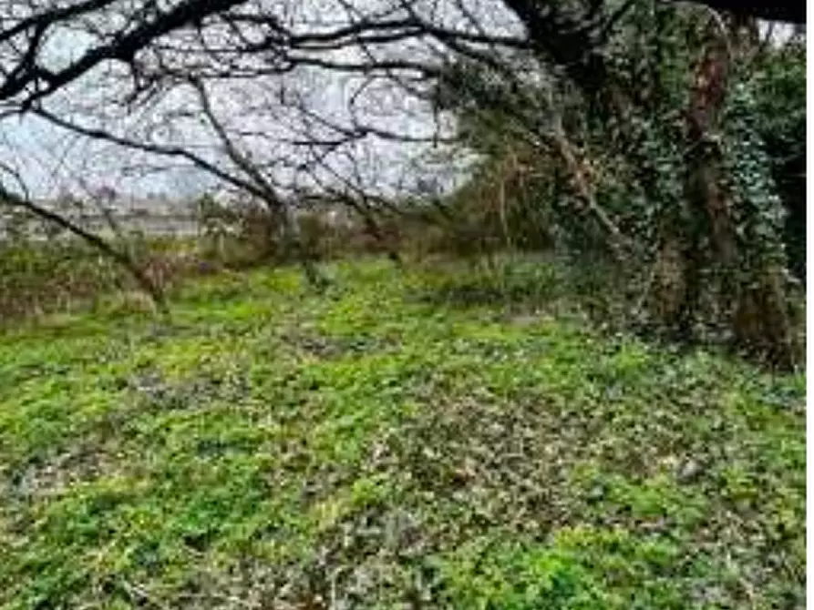 Immagine 6 di Terreno agricolo in vendita  in Via Verghera a Gallarate