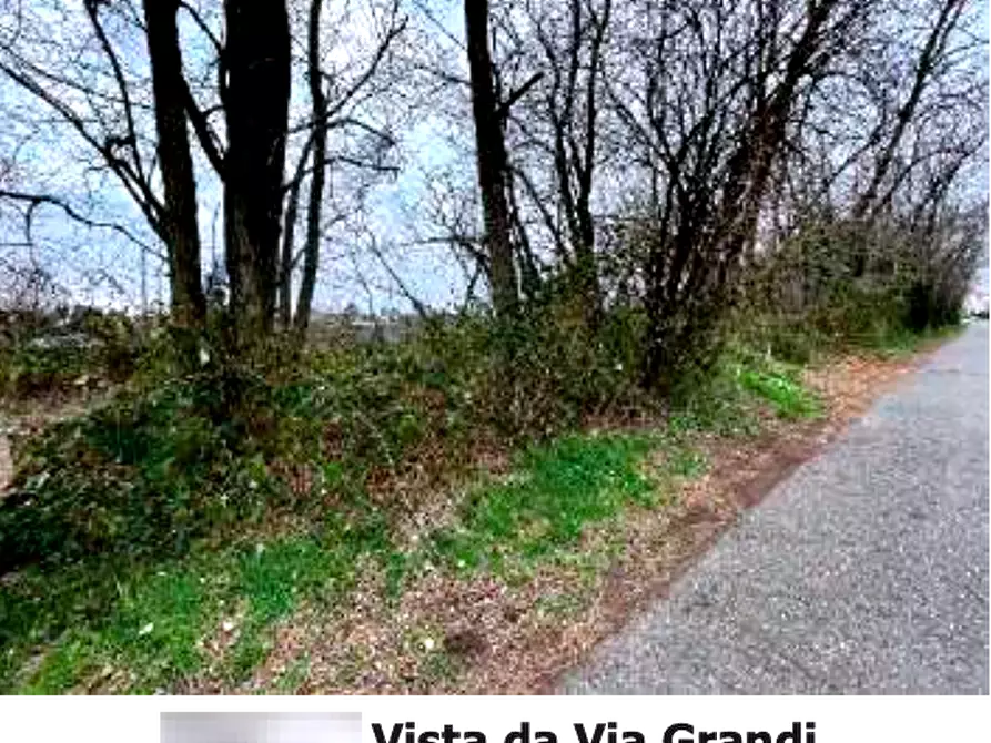 Immagine 3 di Terreno agricolo in vendita  in Via Verghera a Gallarate