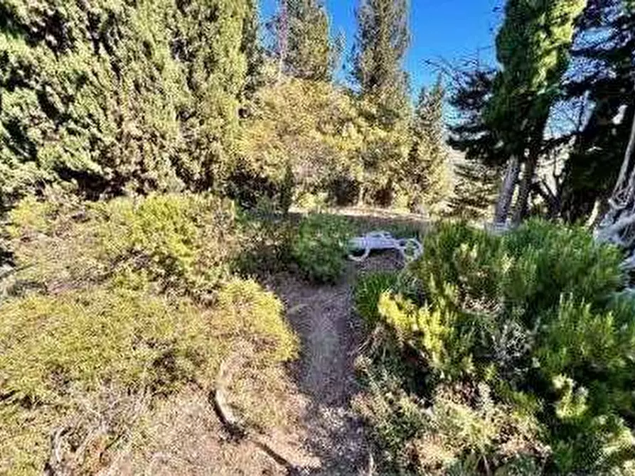 Immagine 26 di Villa in vendita  in Via Montà di Lanza  62 a San Remo