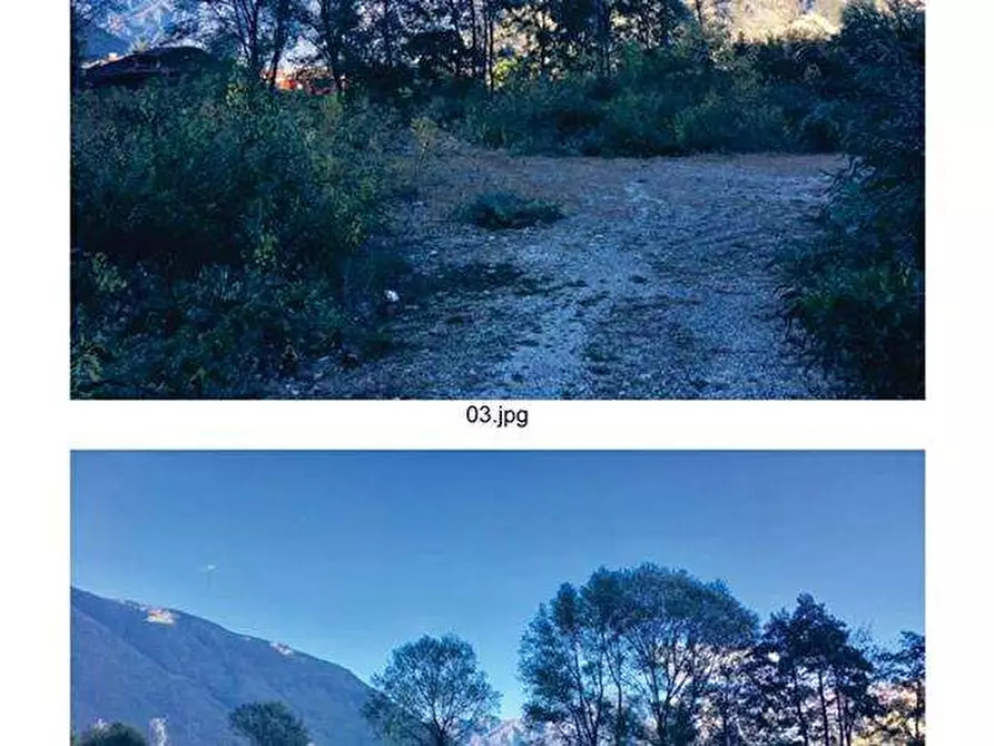 Immagine 1 di Terreno agricolo in vendita  in Via per Cassano Magnago 74 a Busto Arsizio