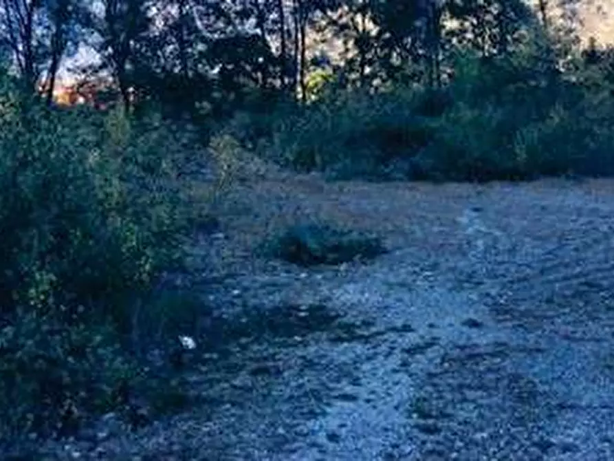 Immagine 1 di Terreno agricolo in vendita  in Via per Cassano Magnago 74 a Busto Arsizio