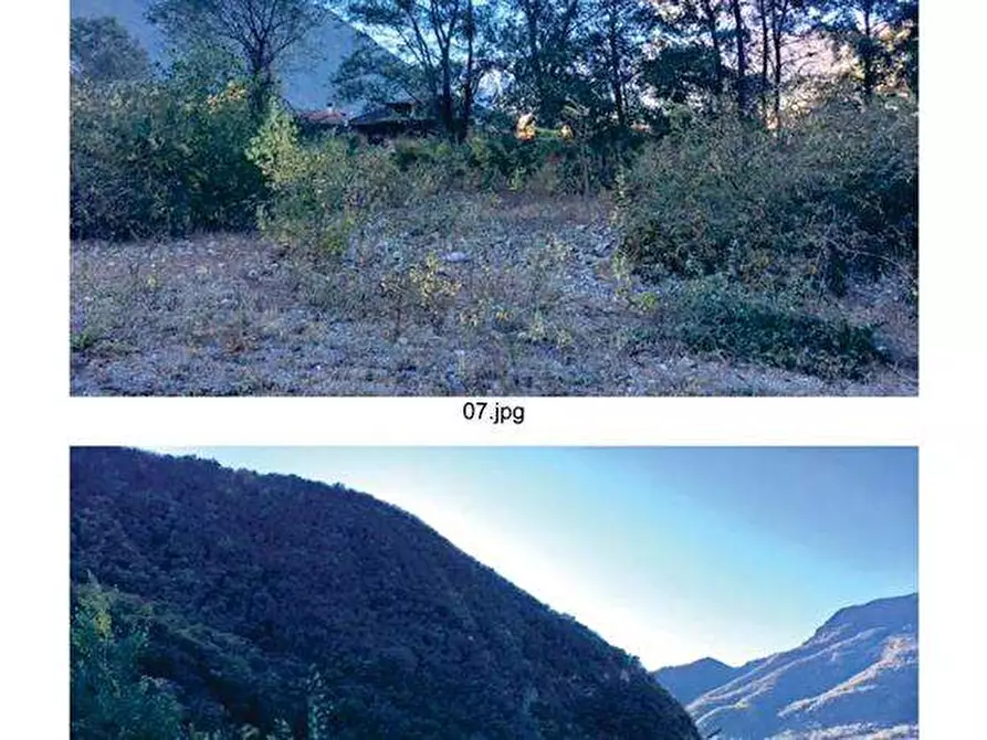 Immagine 3 di Terreno agricolo in vendita  in Via per Cassano Magnago 74 a Busto Arsizio