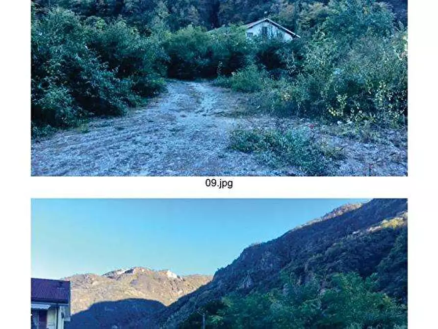 Immagine 4 di Terreno agricolo in vendita  in Via per Cassano Magnago 74 a Busto Arsizio