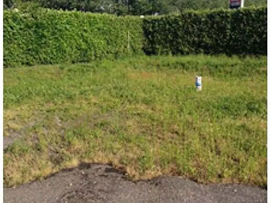 Immagine 6 di Terreno agricolo in vendita  in Via per Cassano Magnago 74 a Busto Arsizio