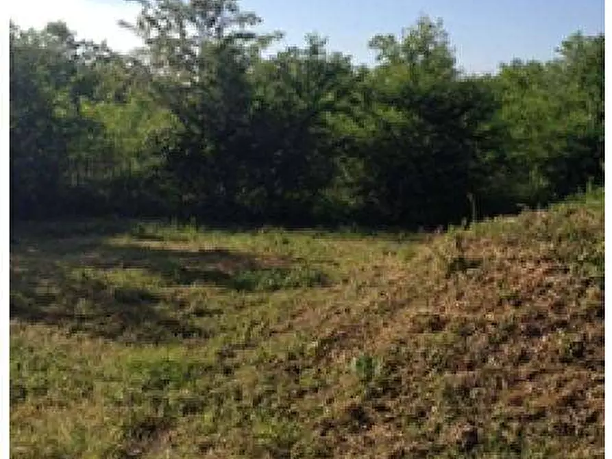 Immagine 7 di Terreno agricolo in vendita  in Via per Cassano Magnago 74 a Busto Arsizio