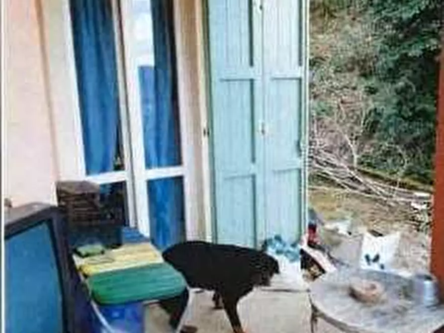 Immagine 9 di Casa bifamiliare in vendita  in Via Pineta n.21 a Brione