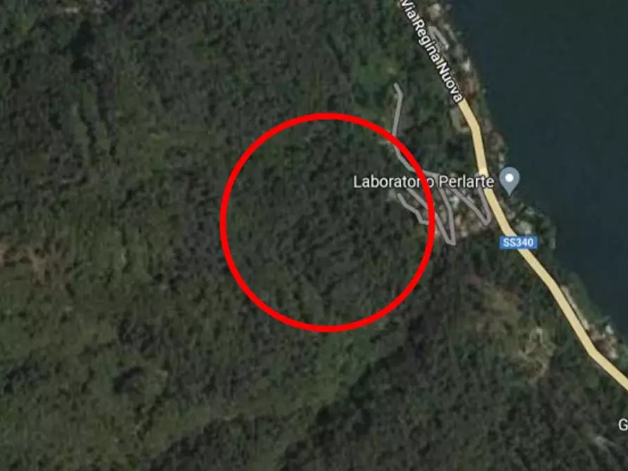 Immagine 3 di Terreno agricolo in vendita  a Brienno