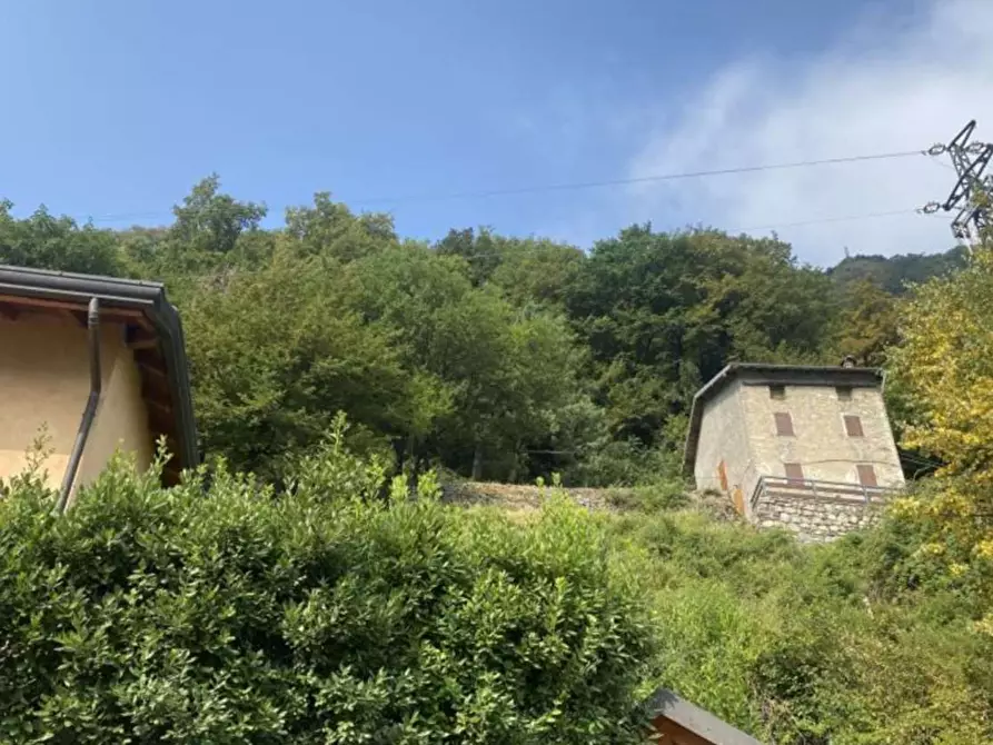 Immagine 1 di Terreno agricolo in vendita  a Brienno