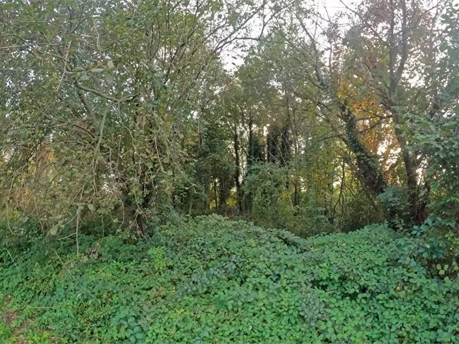 Immagine 8 di Terreno edificabile in vendita  in Sez. Albate - Via Cesare Barzaghi snc a Como