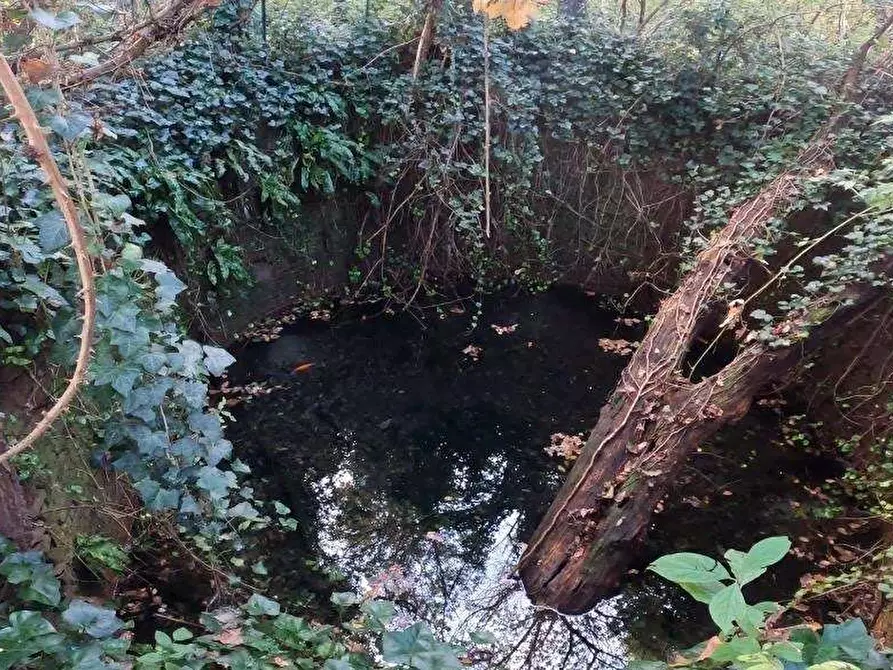 Immagine 10 di Terreno edificabile in vendita  in Sez. Albate - Via Cesare Barzaghi snc a Como