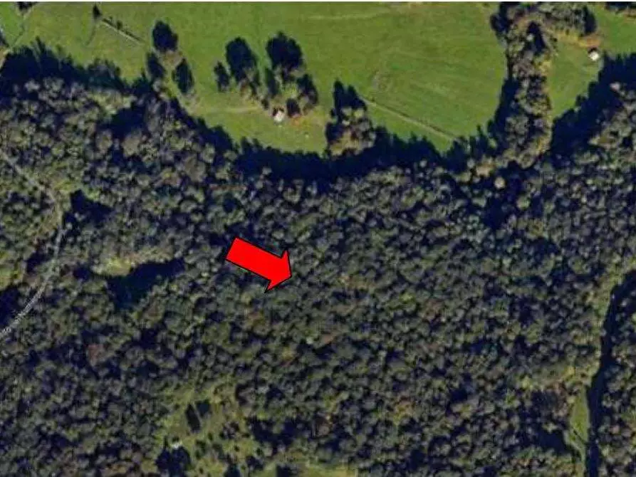 Immagine 1 di Terreno agricolo in vendita  in 22030 Castelmarte CO, Italia a Cantù