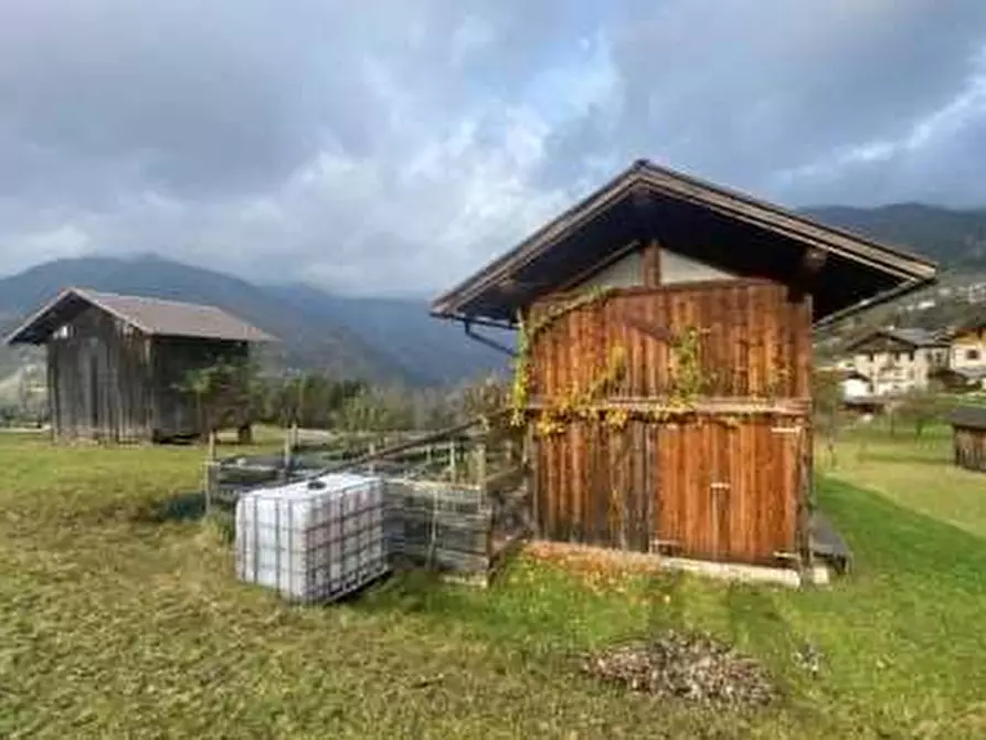Immagine 1 di Terreno agricolo in vendita  in  comune di Canal San Bovo e Mezzano (TN) a Canal San Bovo