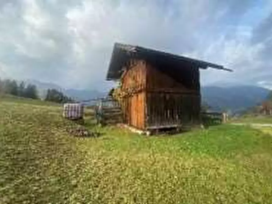 Immagine 2 di Terreno agricolo in vendita  in  comune di Canal San Bovo e Mezzano (TN) a Canal San Bovo