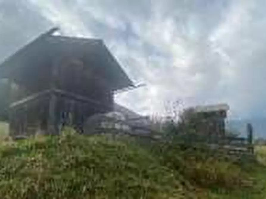 Immagine 3 di Terreno agricolo in vendita  in  comune di Canal San Bovo e Mezzano (TN) a Canal San Bovo