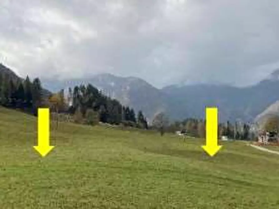 Immagine 4 di Terreno agricolo in vendita  in  comune di Canal San Bovo e Mezzano (TN) a Canal San Bovo