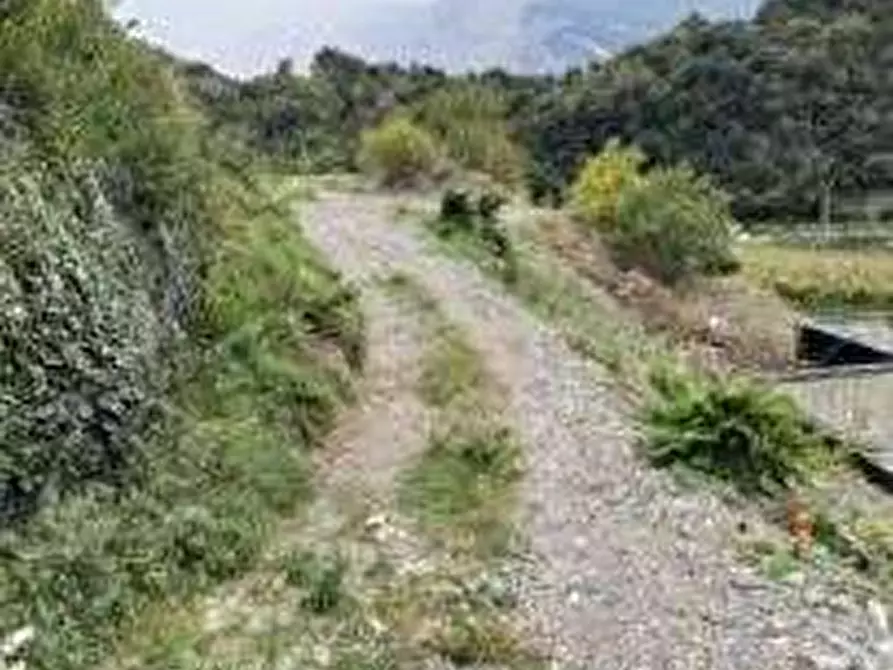 Immagine 2 di Terreno agricolo in vendita  in Frazione Padergnone - località Pendè a Vallelaghi