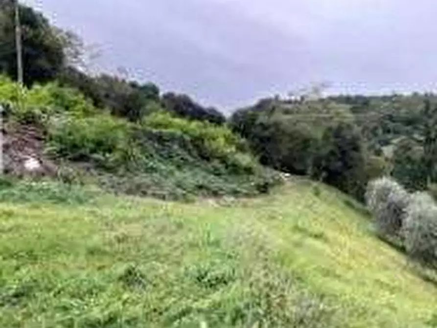 Immagine 3 di Terreno agricolo in vendita  in Frazione Padergnone - località Pendè a Vallelaghi