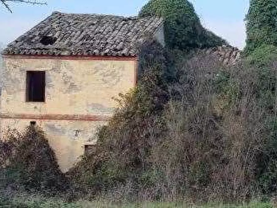 Immagine 5 di Rustico / casale in vendita  in Via Cerretino snc a Sant'elpidio A Mare